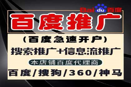 成功SEM服务案例分析报告